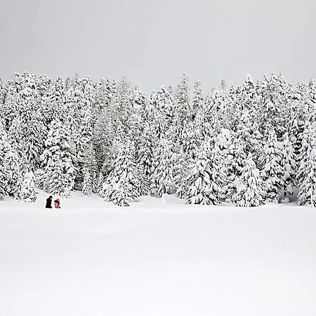 Languard Hotel