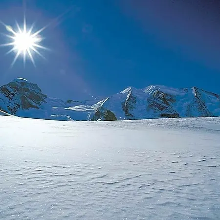 Hotel Languard 3*