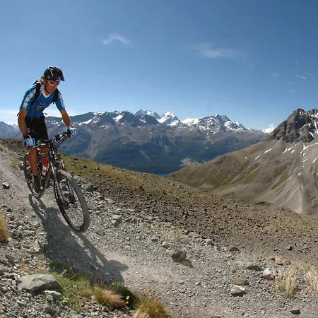 Languard St. Moritz