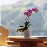 Hotel Languard